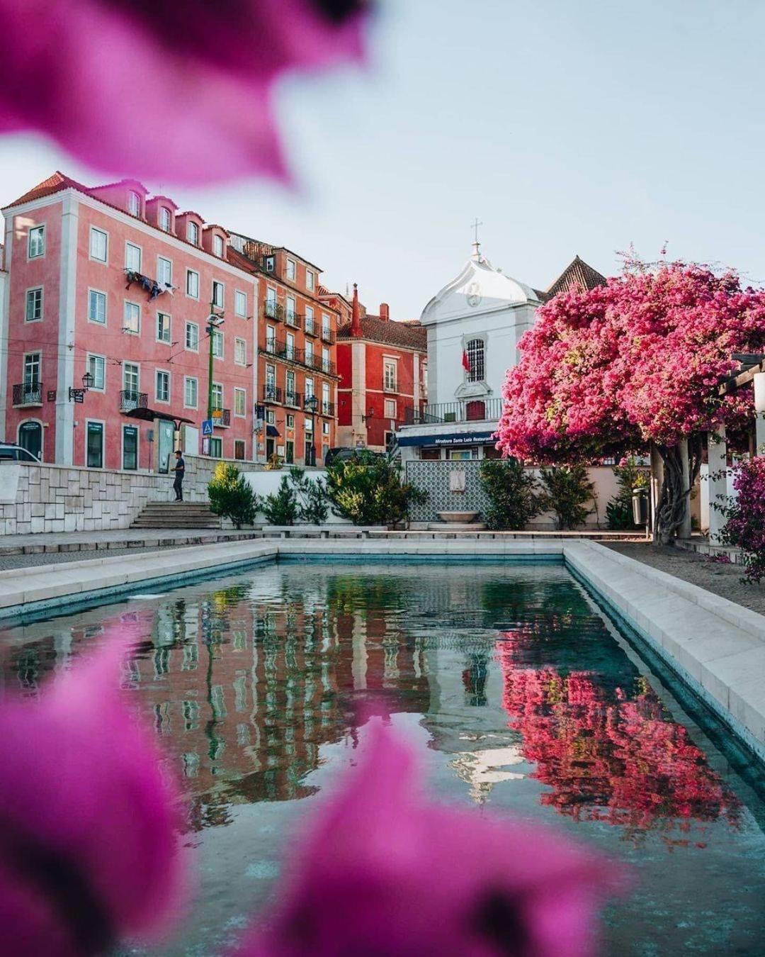 Alfama Historical Apartment 3 Bedroom Duplex Lisboa Eksteriør bilde